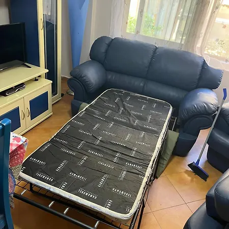 Apartment Amla